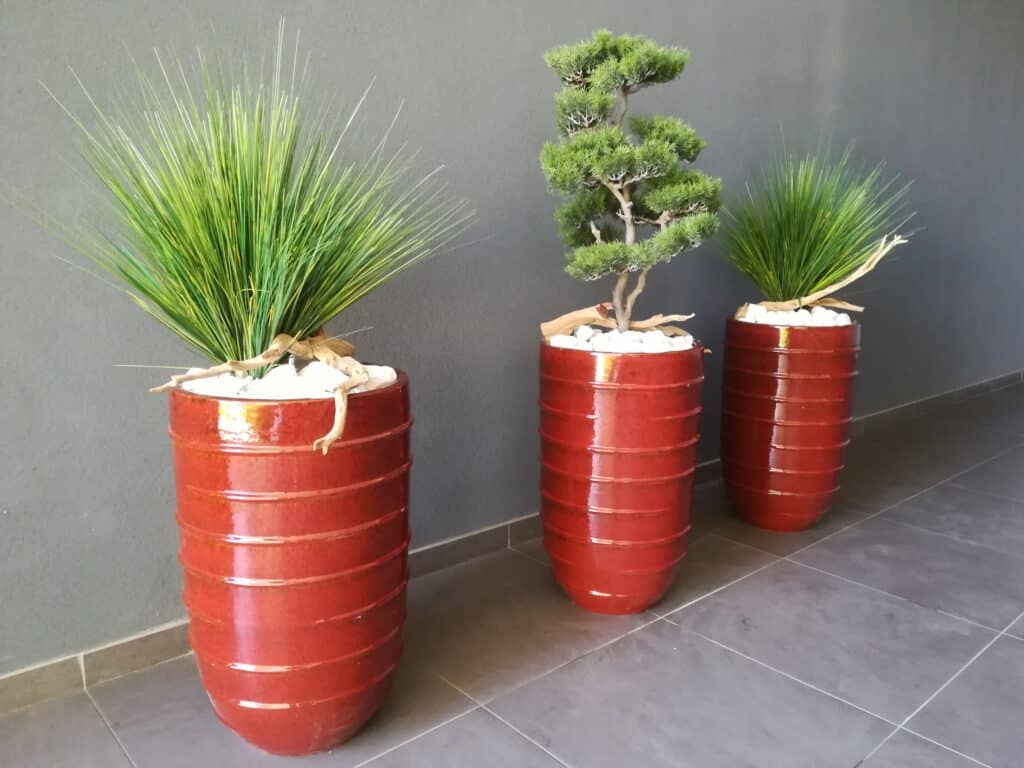 Plantes en pot