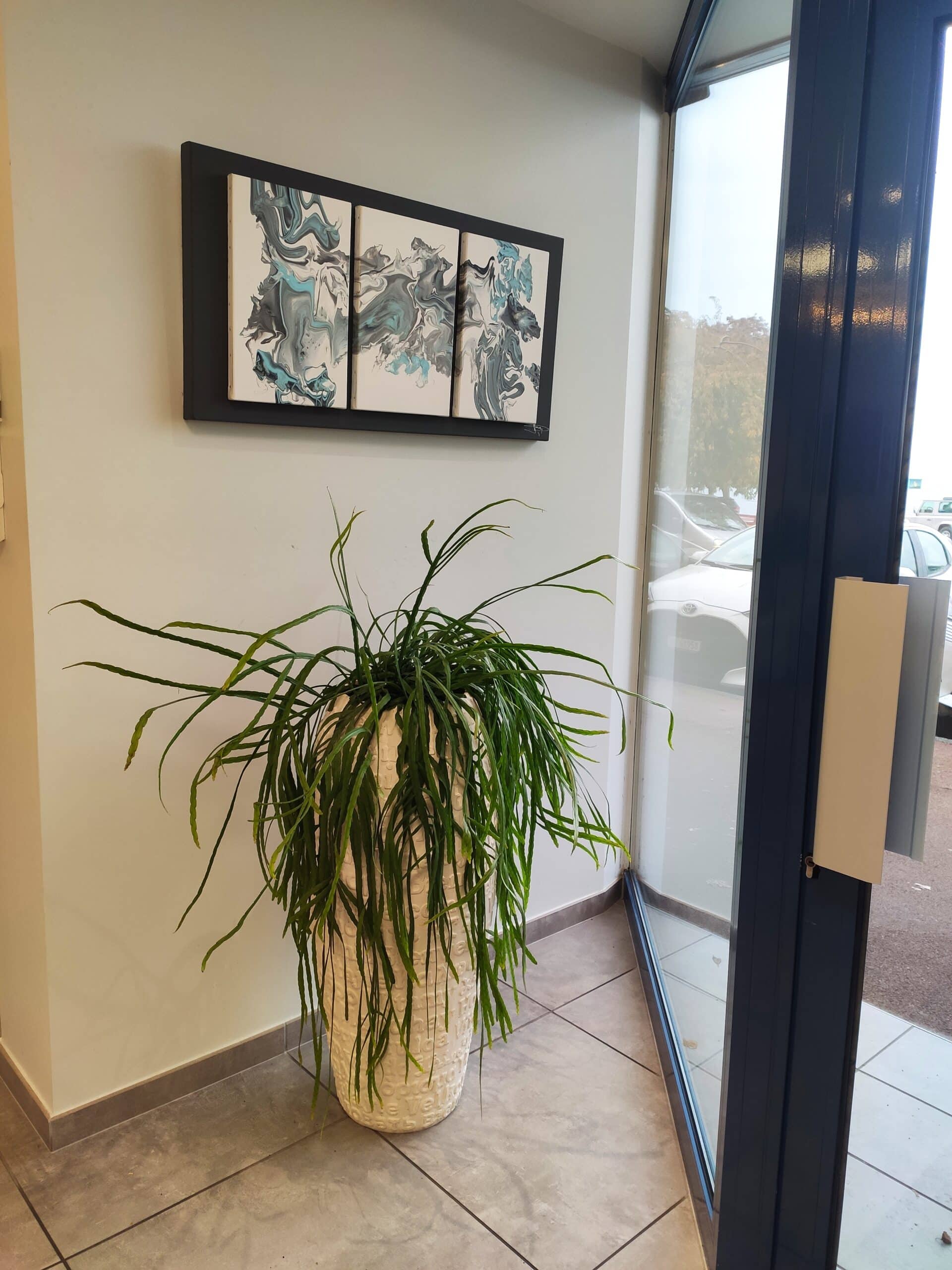 Plante rhipsalis en pot résine chic commerce, agence de voyage evian les bains