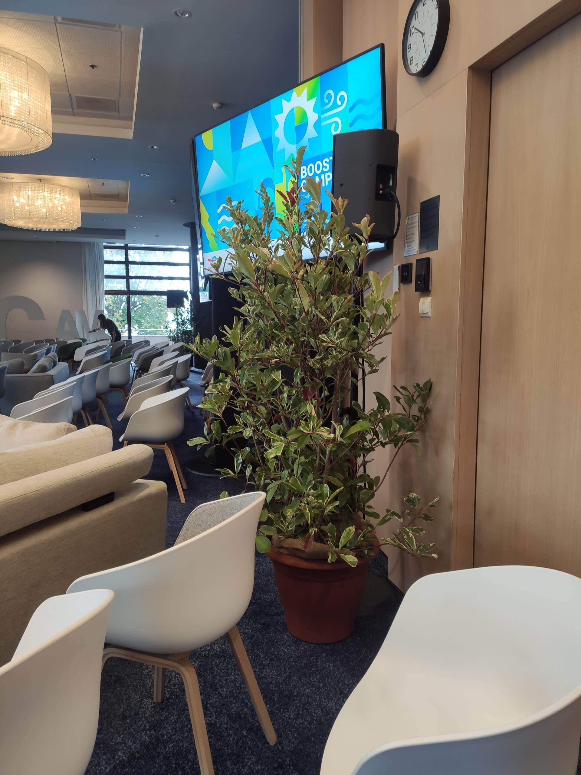 Location de plantes