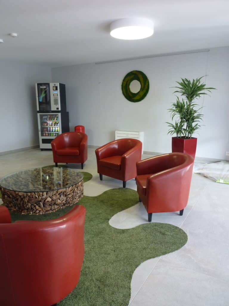 Plantes dans un bureau