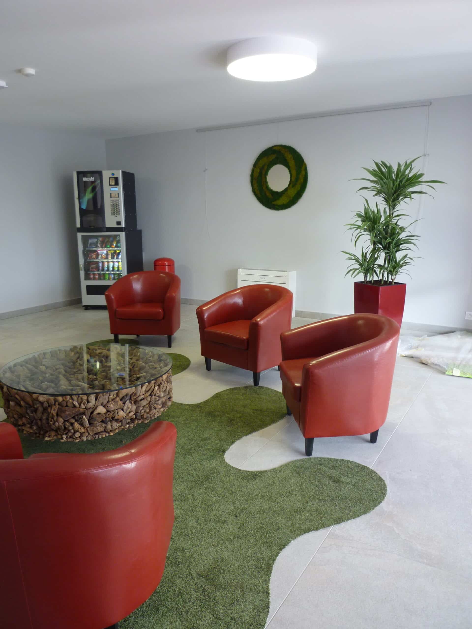 Plantes dans un bureau