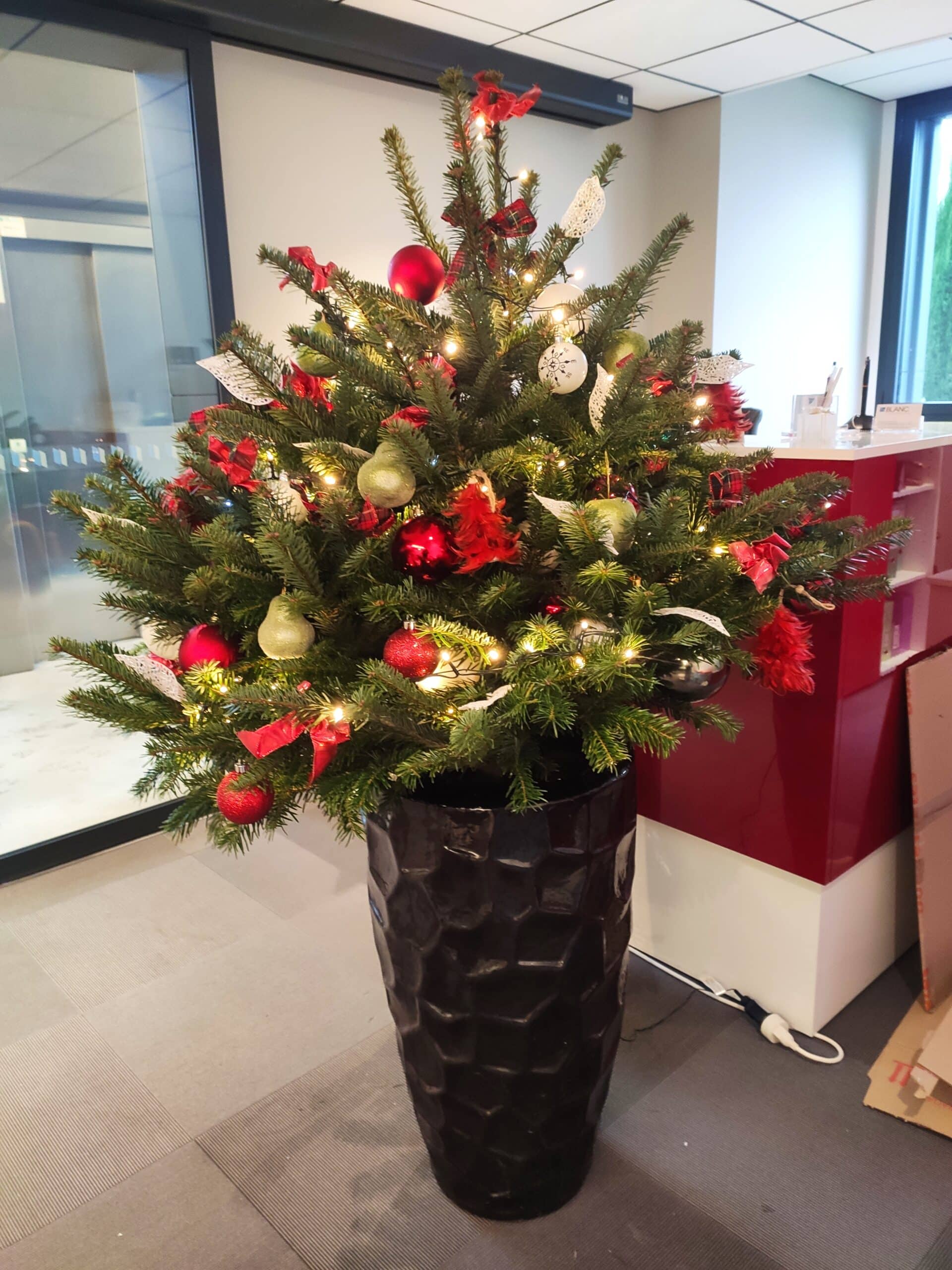Sapin de Noël en poterie