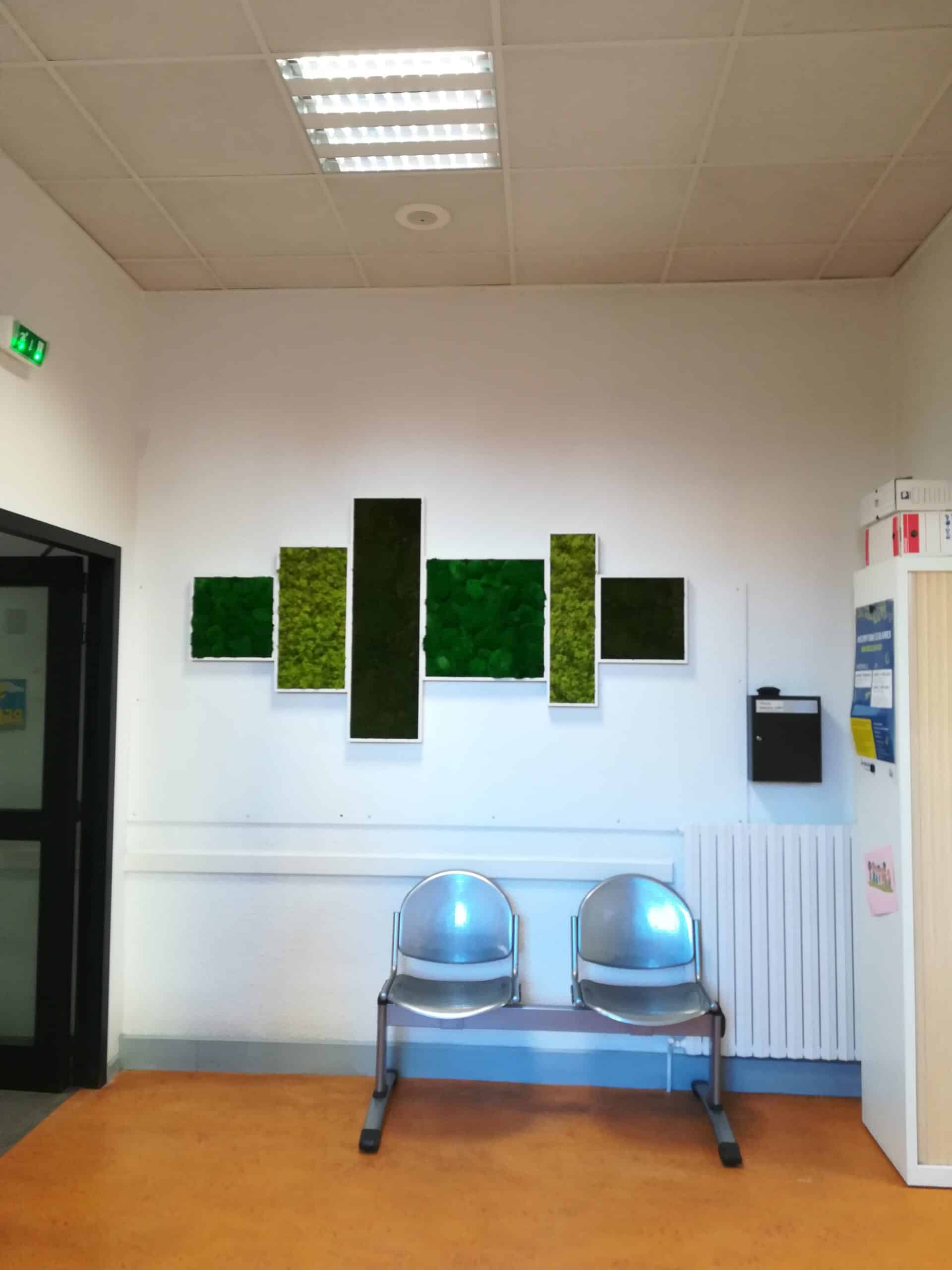 Tableau végétal dans une salle d'attente