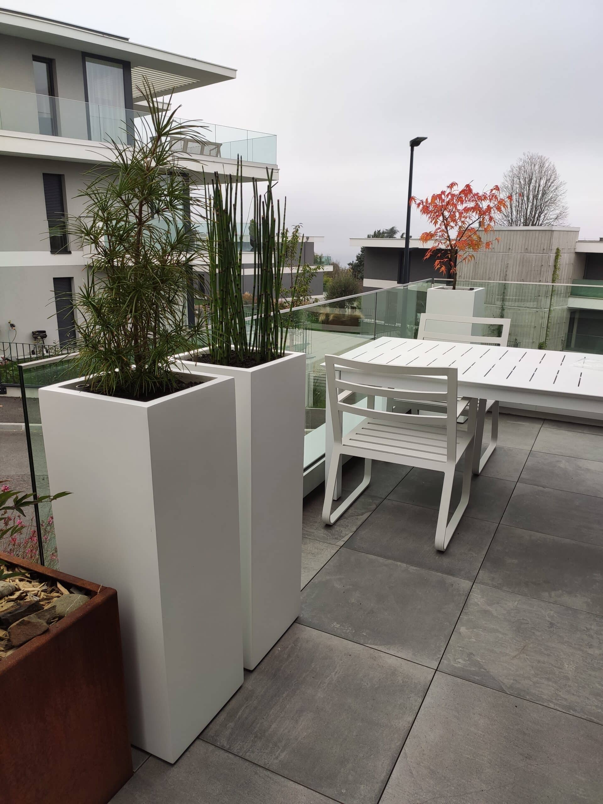 Plantes sur une terrasse