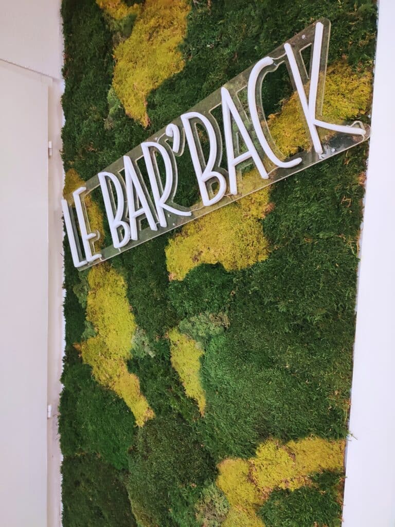 Logo Barback en mousse végétale