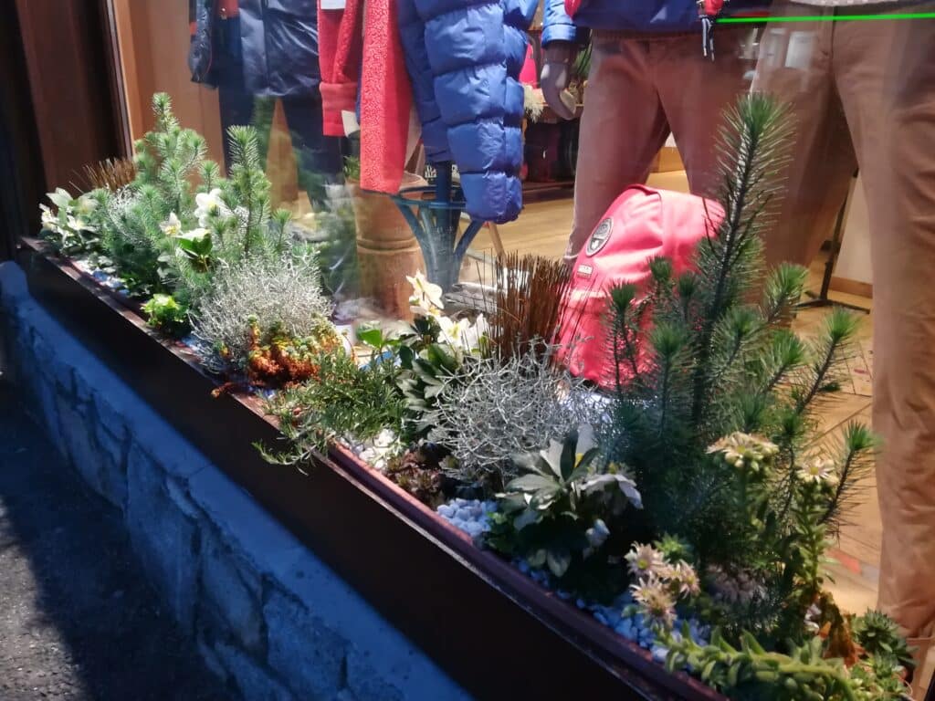 Décoration d'une vitrine sur le thème de Noël