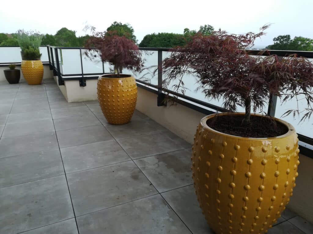 Plante en pot sur une terrasse balcon