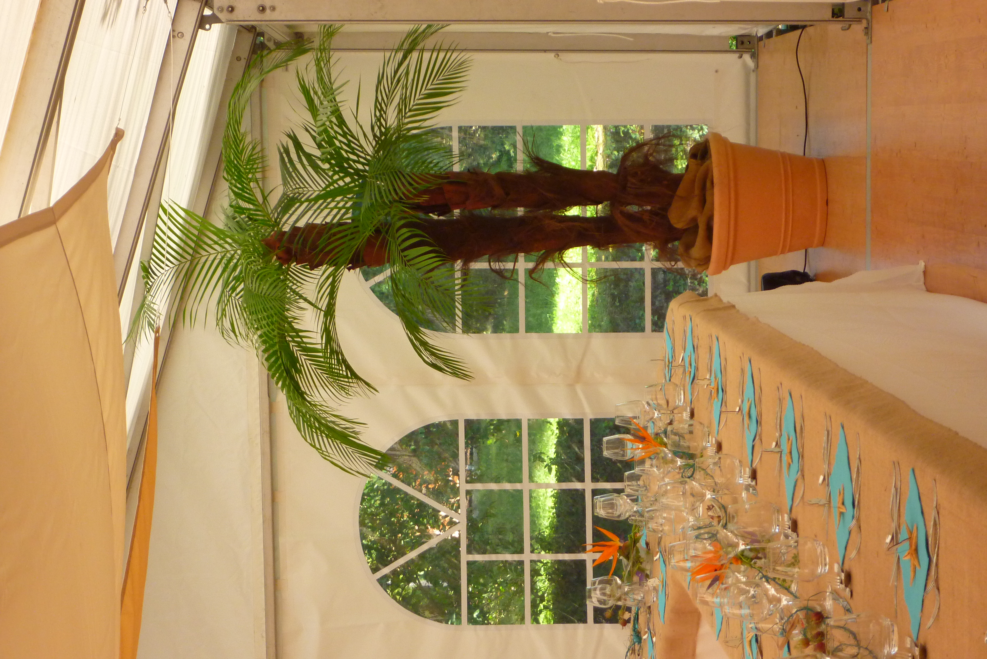 location de plantes