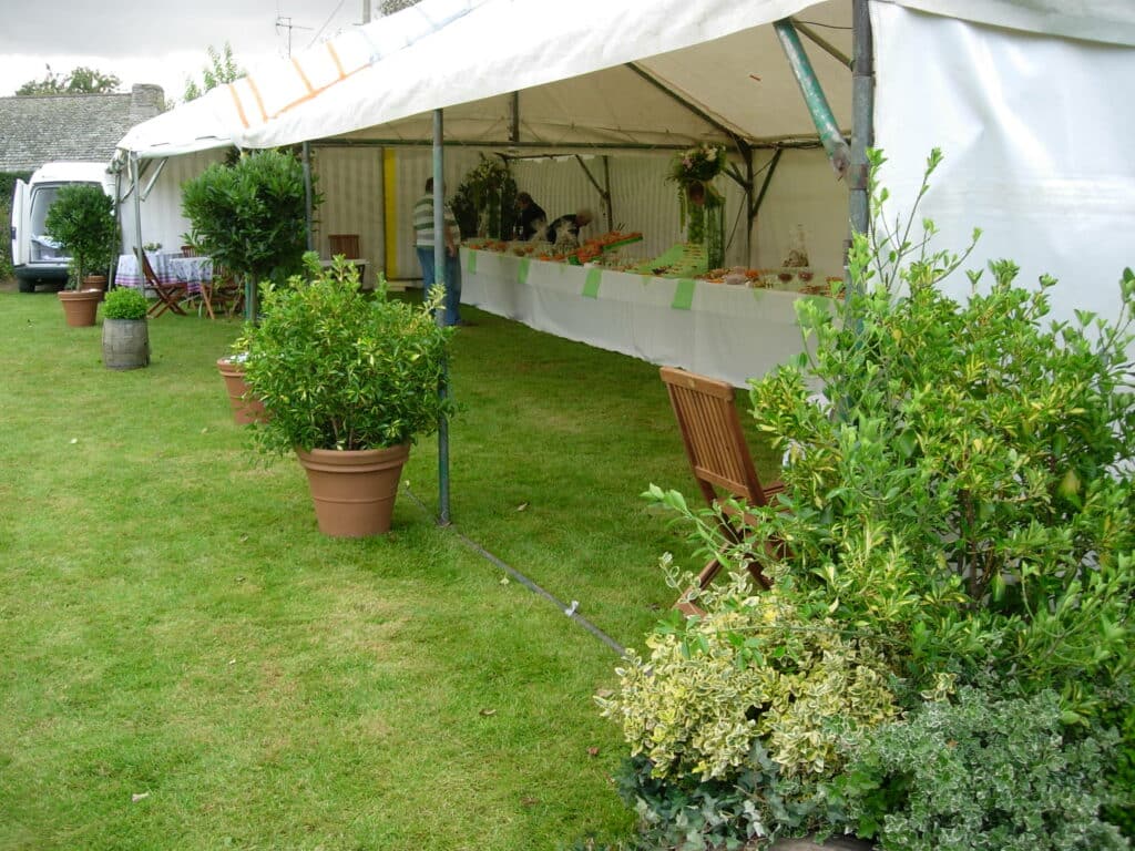 Location de plantes