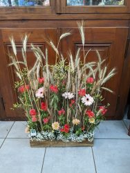 Fleurs pérennes