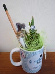 Cadeau à offrir