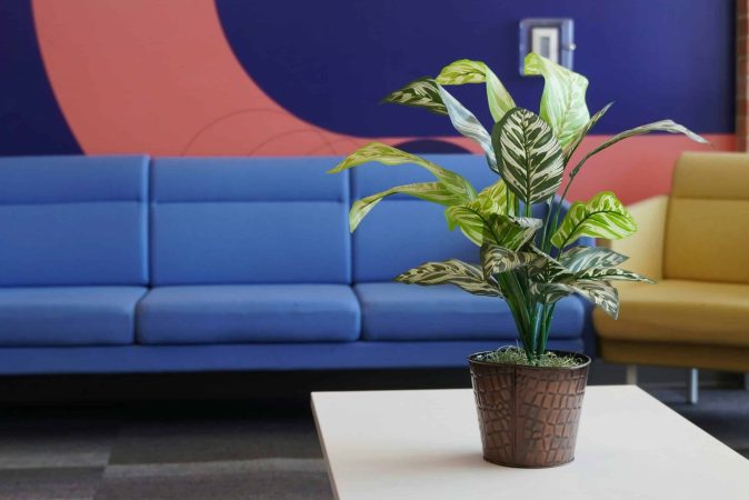 Fleur en pot dans une entreprise