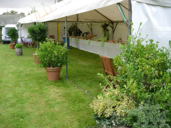 Location de plantes