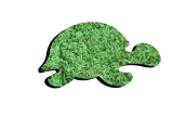 M tortue 10 cm