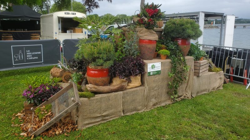 Millésime des copains avec Botanic