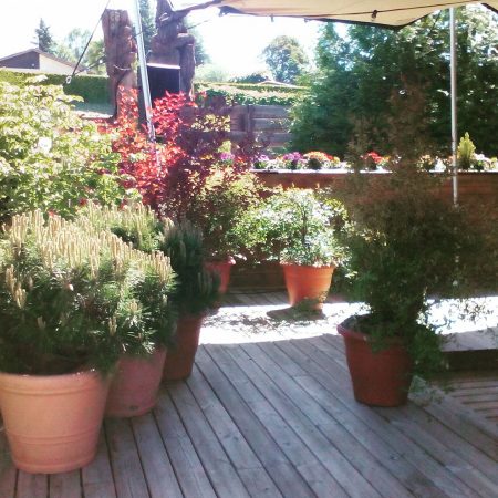 Pépinières de plantes