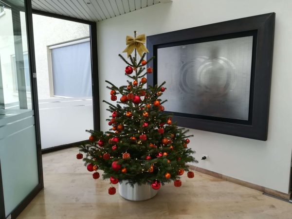 Sapin de noël en entreprise