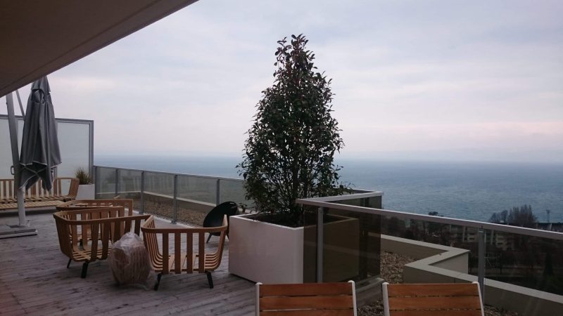 Plantes sur un balcon